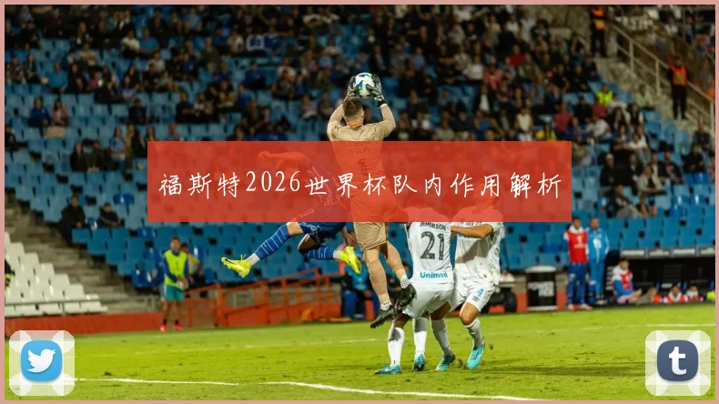 福斯特2026世界杯队内作用解析